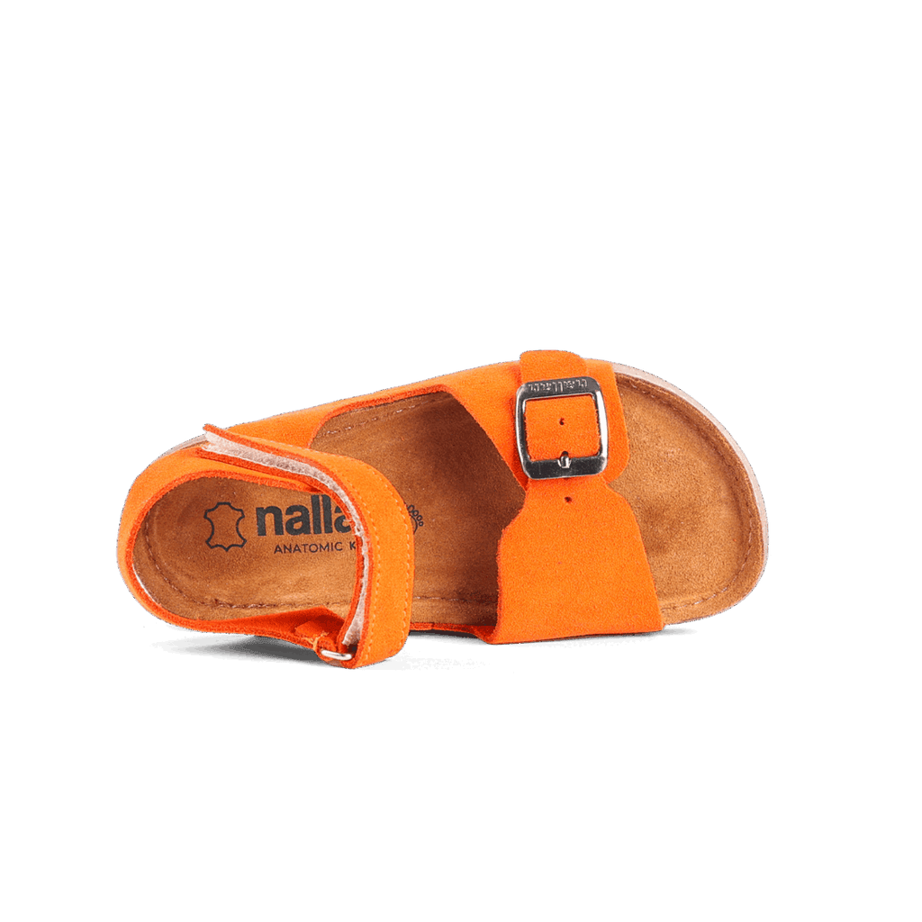 Elia Orange