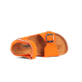 Elia Orange