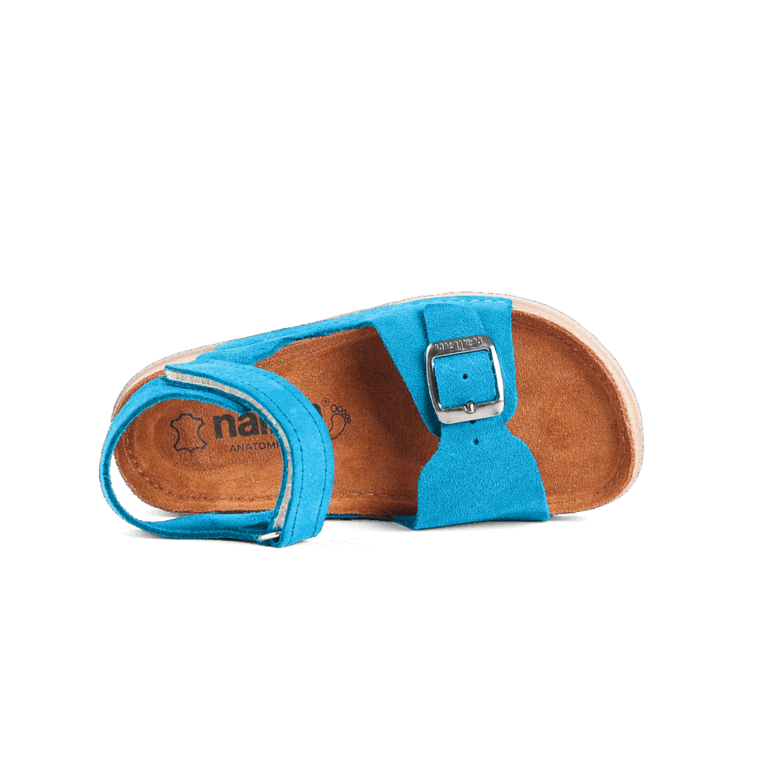 Elia Turquoise
