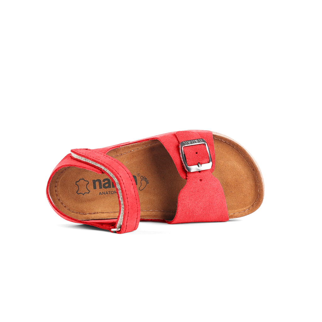 Elia Red1 Kids