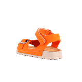 Elia Orange