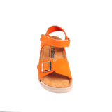 Elia Orange