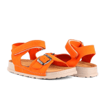 Elia Orange
