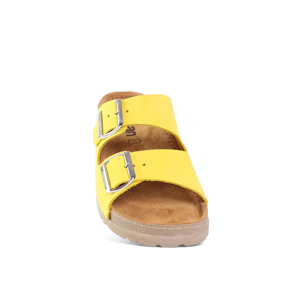 RUBIK ANATOMSKO RUMENA