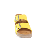 RUBIK ANATOMSKO RUMENA