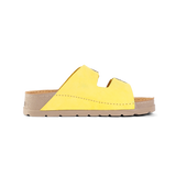 RUBIK ANATOMSKO RUMENA