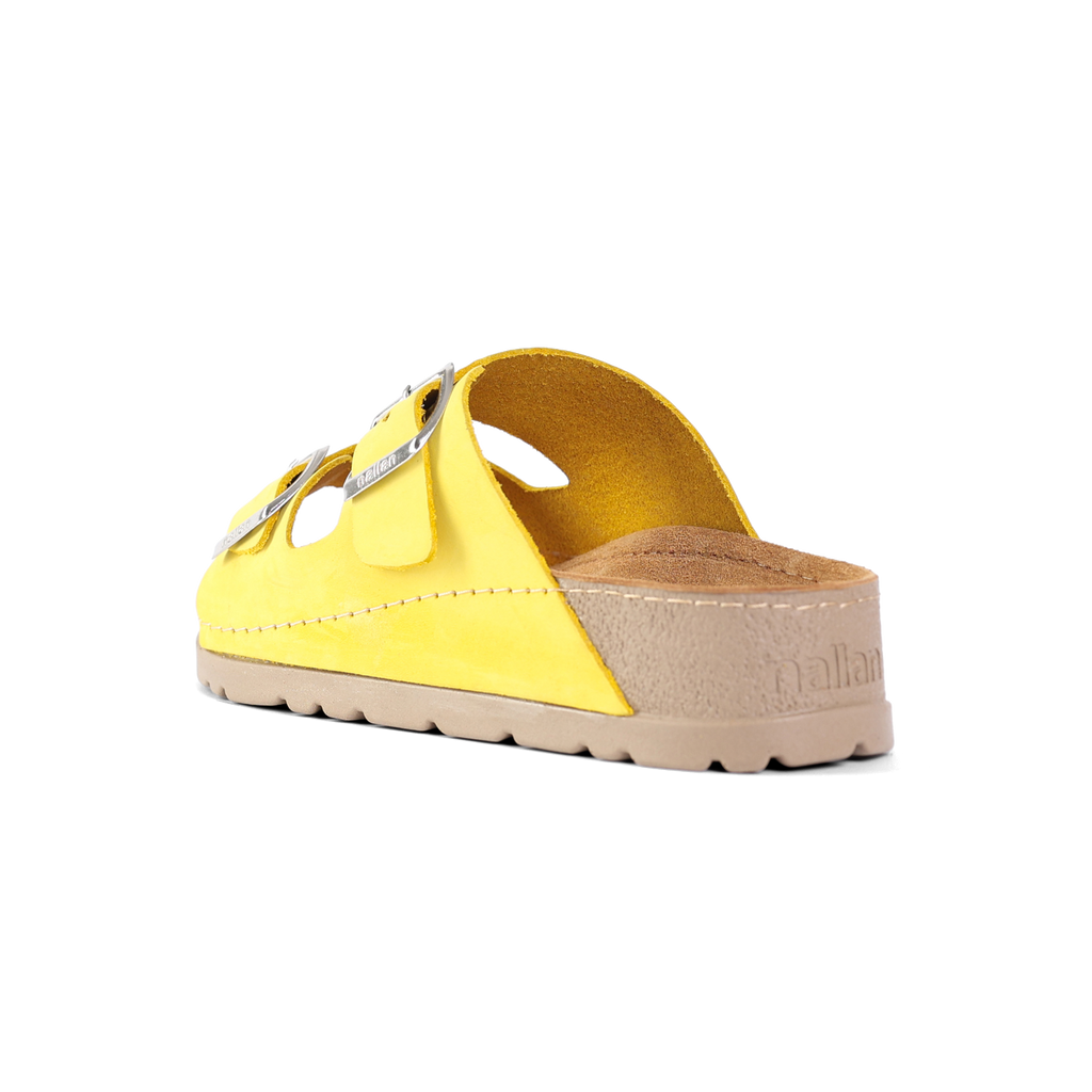 RUBIK ANATOMSKO RUMENA