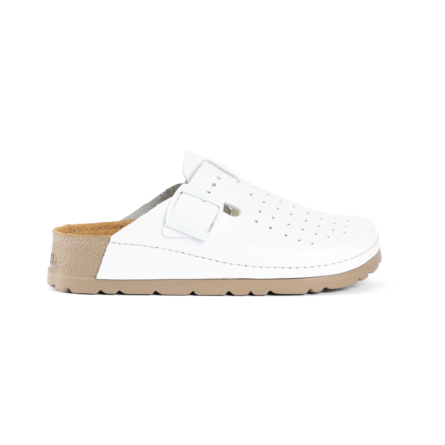 PRIAM ANATOMSKE BELE MOŠKE