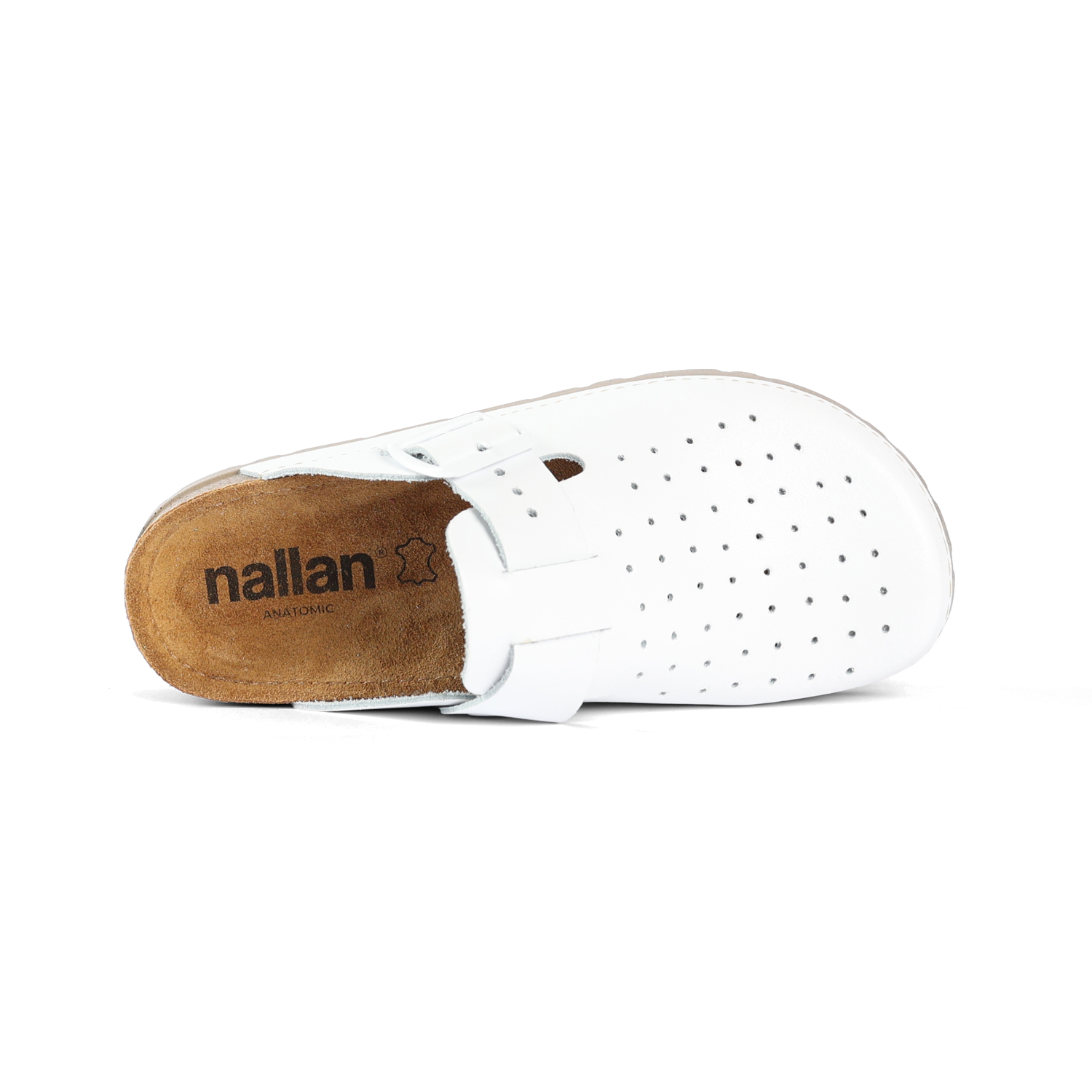 PRIAM ANATOMISCHES WEISS