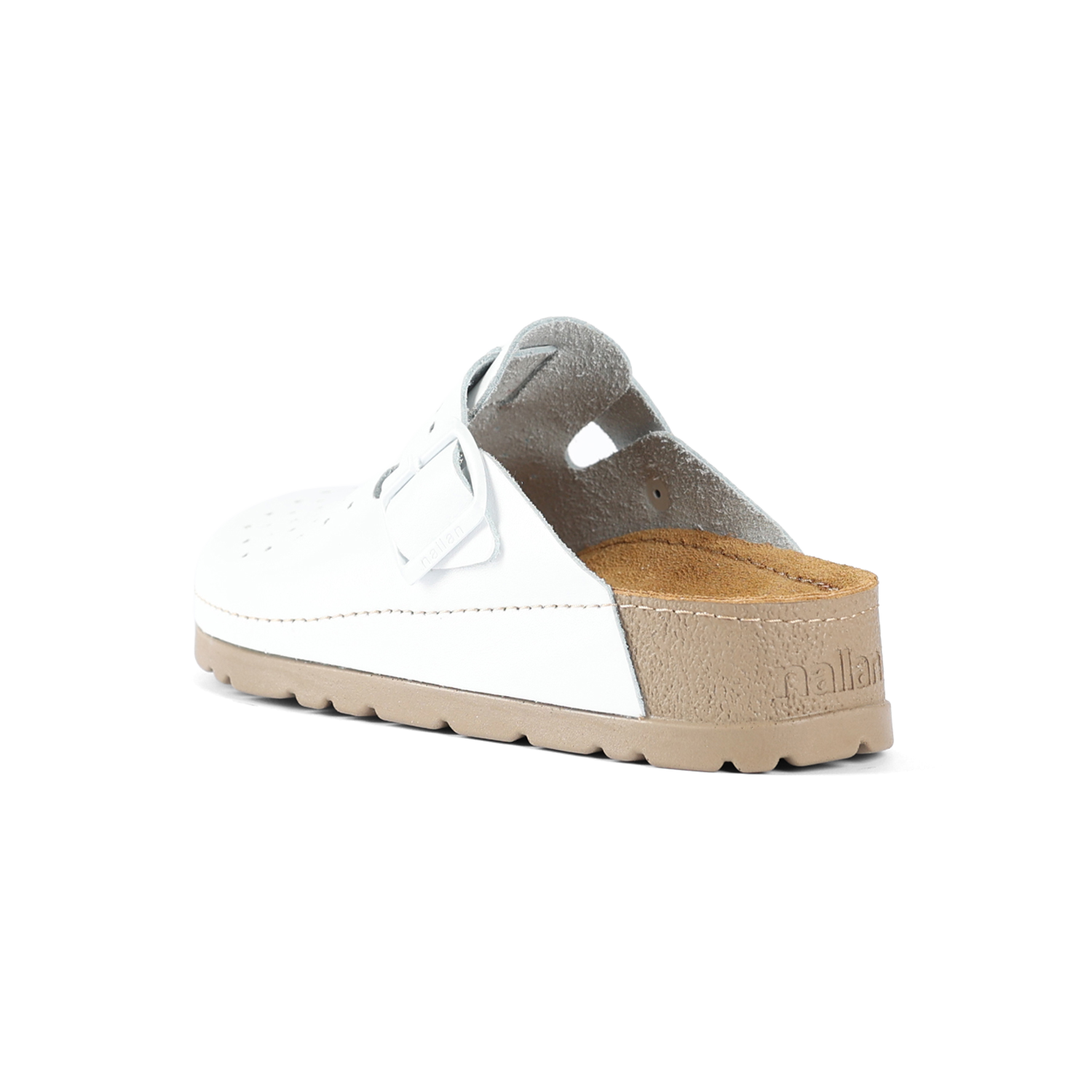 PRIAM ANATOMSKE BELE MOŠKE