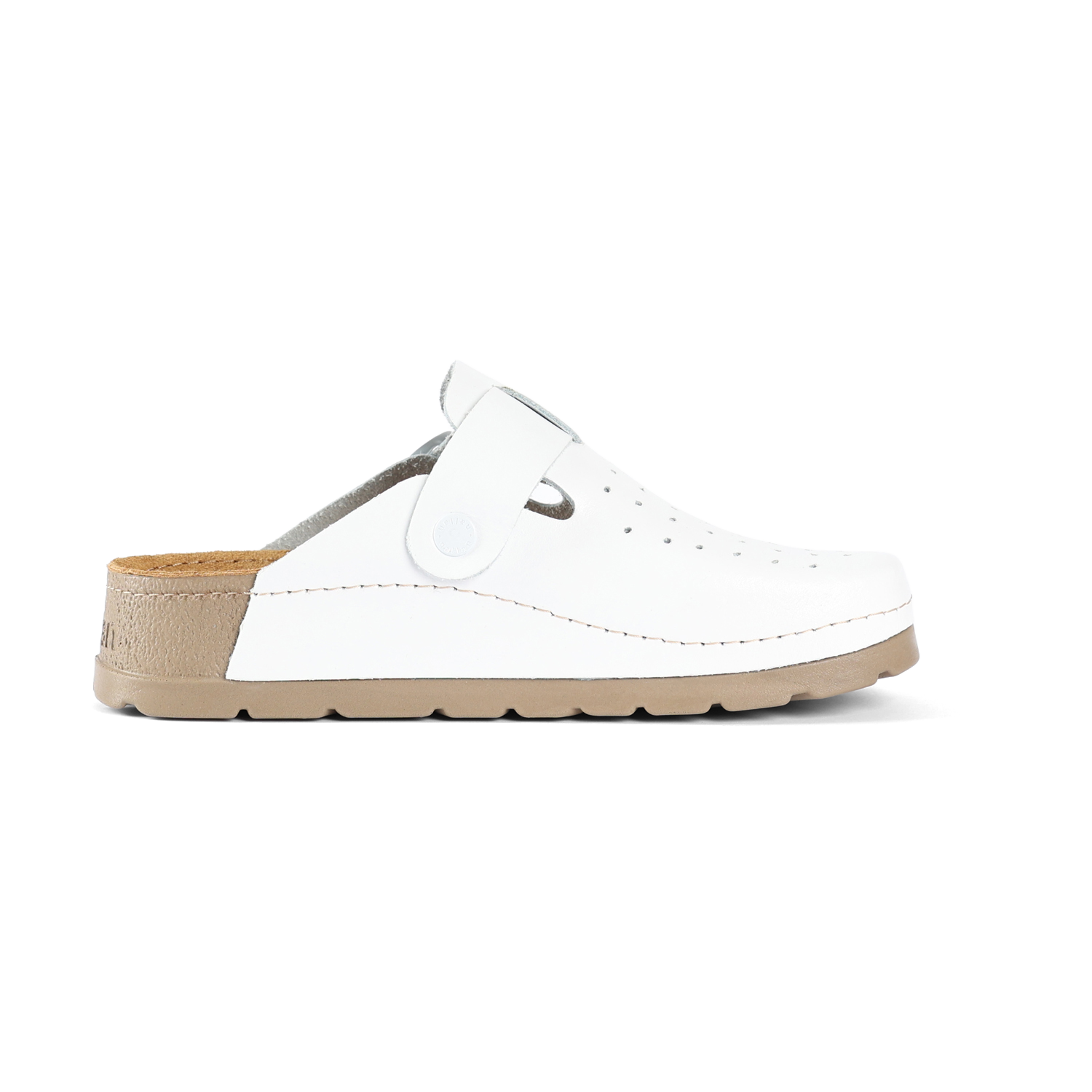 PRIAM ANATOMISCHES WEISS