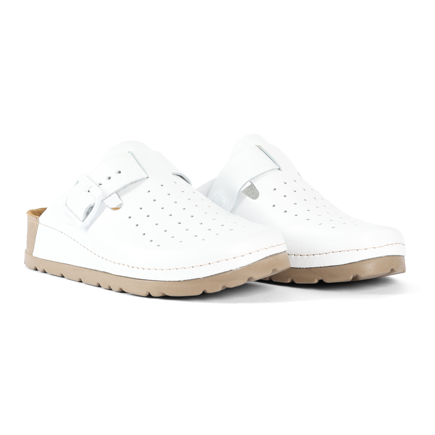 PRIAM ANATOMSKE BELE MOŠKE