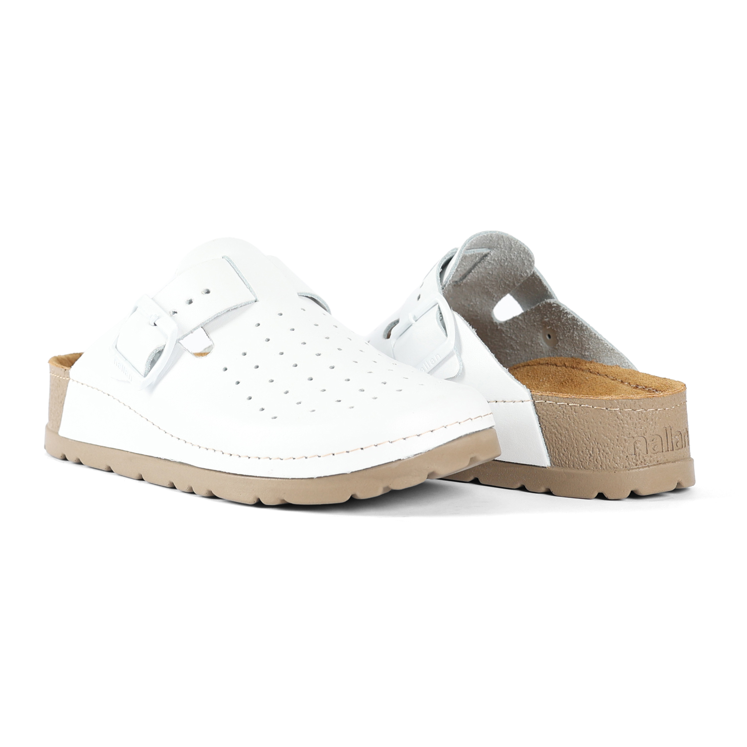 PRIAM ANATOMISCHES WEISS